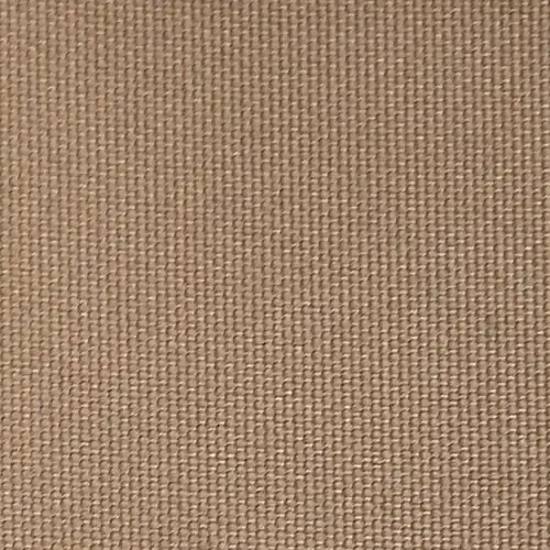 Camel (37)