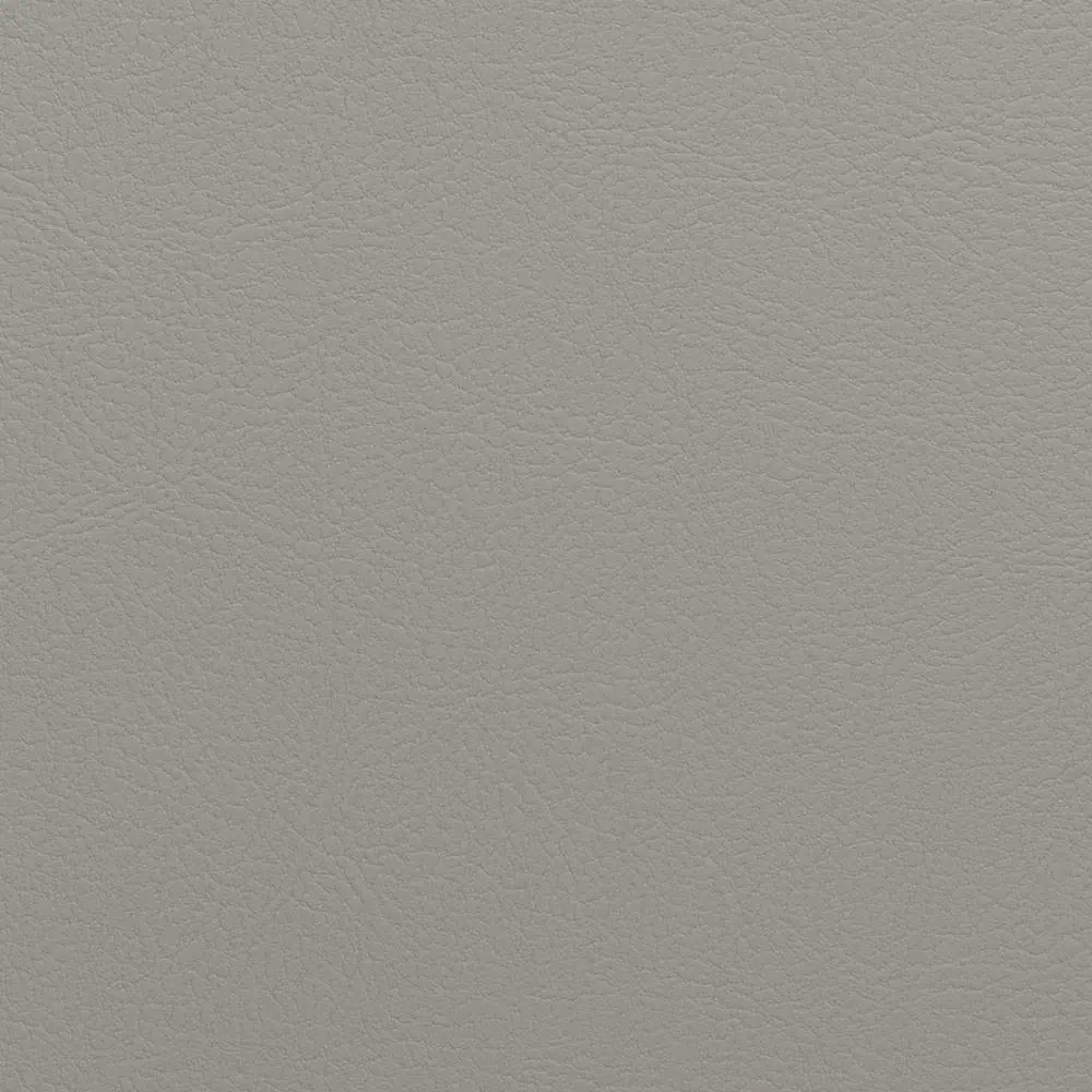 Gris clair