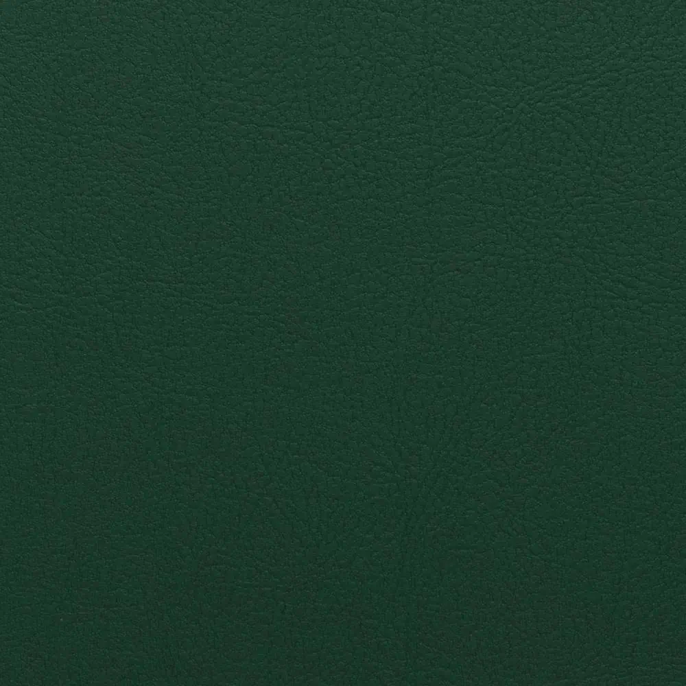 Vert bouteille