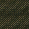 Kaki