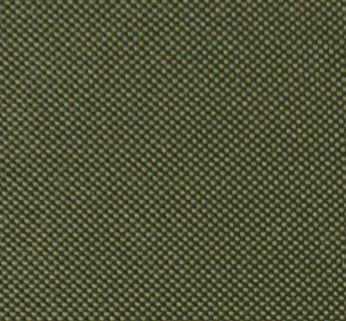 Olive 18