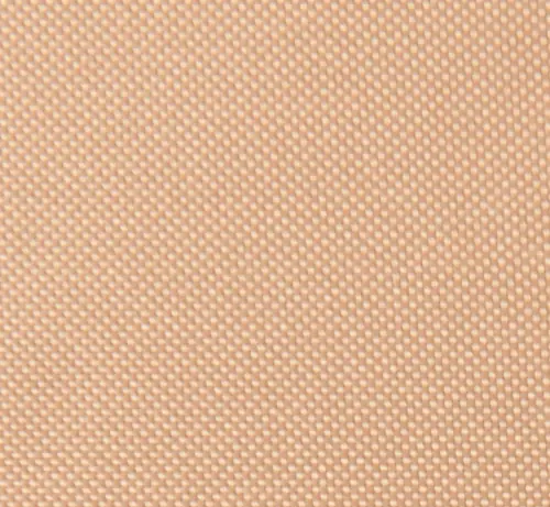 Camel 37