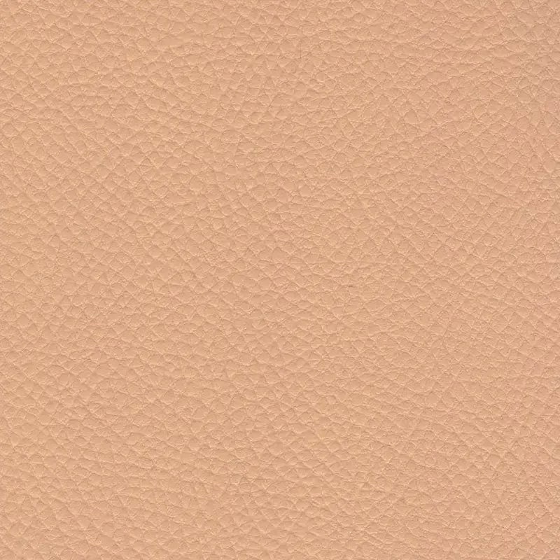 Beige 17