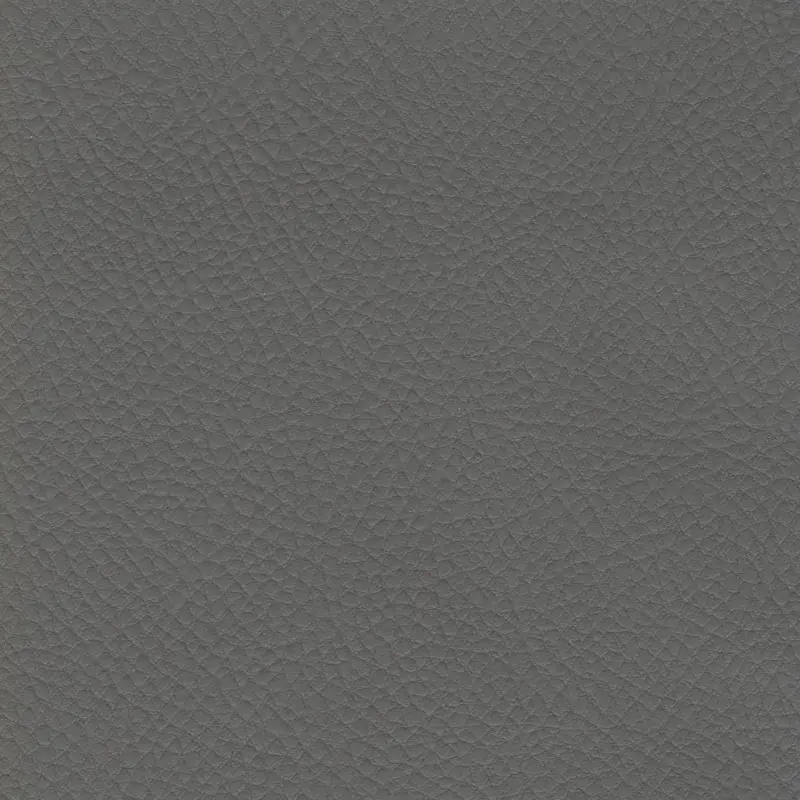 Gris 24