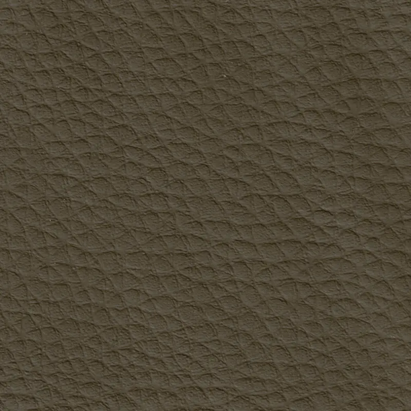 Kaki 442