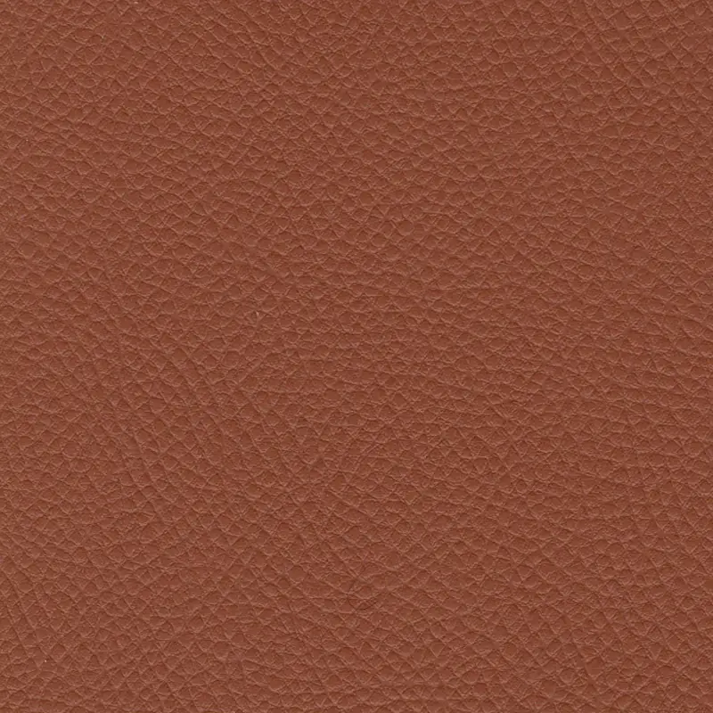 Marron fauve 5