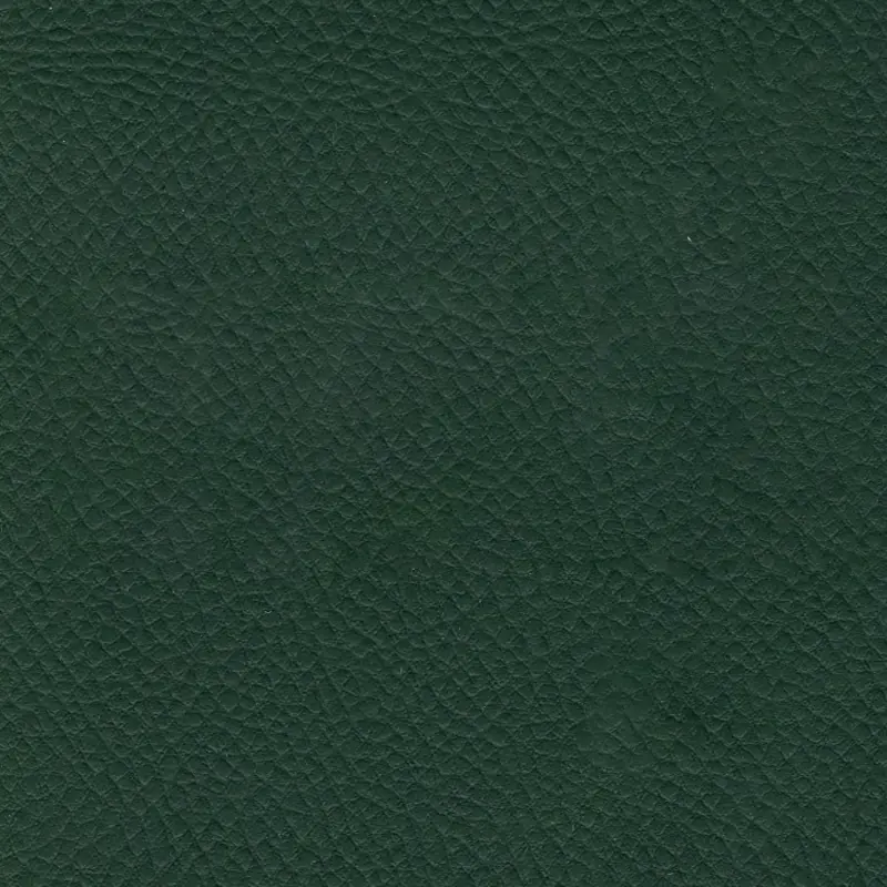 Vert 13