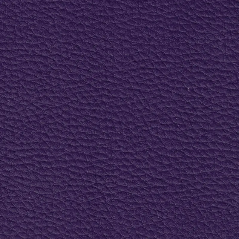 Violet 74