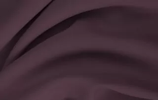 Violet 452