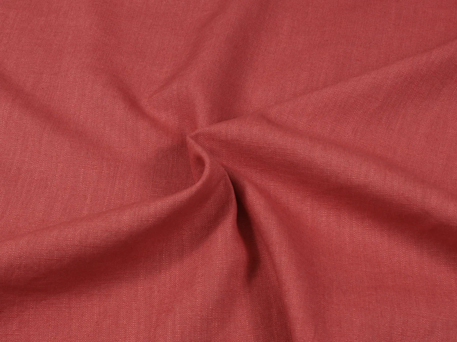 Rose fraise